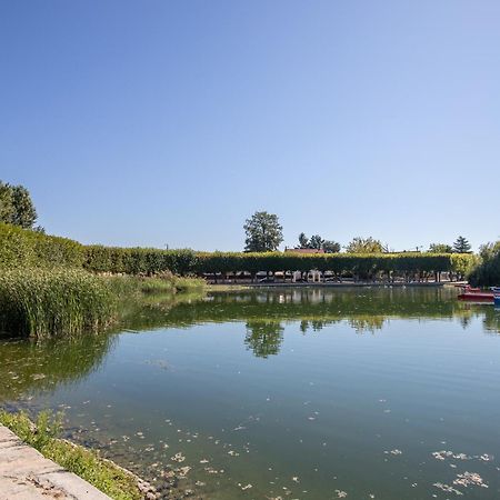 Appartement Cosy ,Wifi ,Gare "Le Refuge Du Lac" 비뉴 쉬르 센느 외부 사진